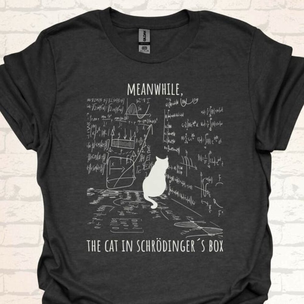 Funny Physics Teacher Black Shirt
